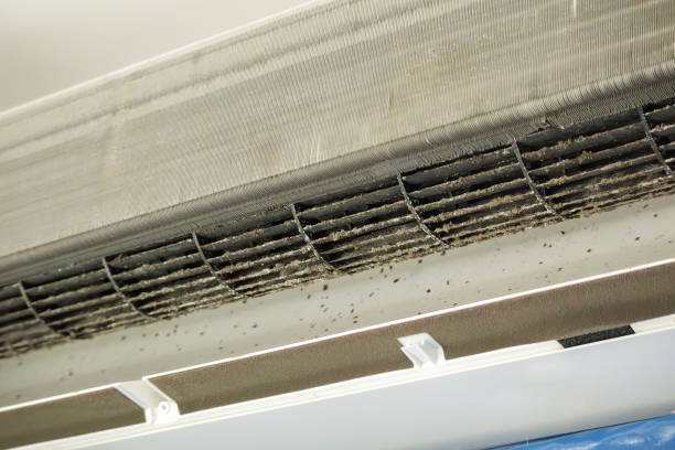 Best Affordable Duct Cleaning Services  in Country Clu, CA